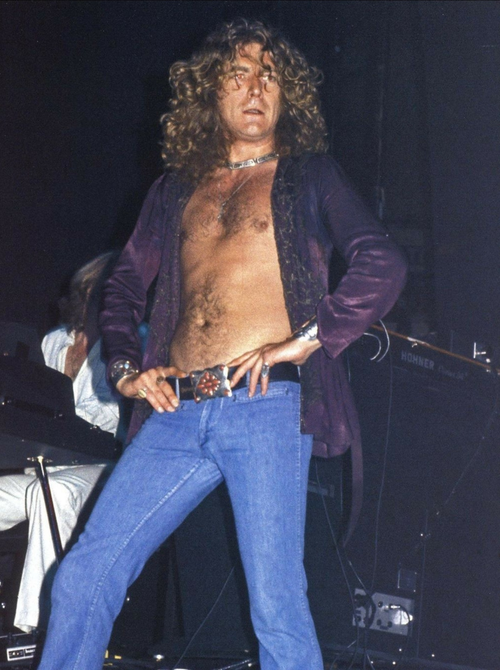 RobertPlant.png